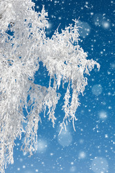 Similar image 21769406