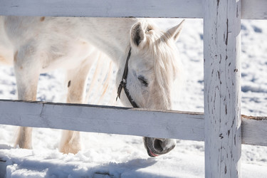 Similar image 21769545