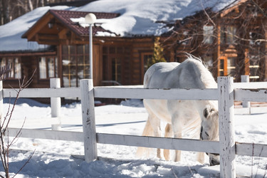 Similar image 21769548