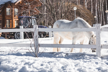 Similar image 21769549