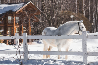 Similar image 21769550