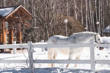 Similar image 21769551