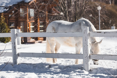 Similar image 21769552