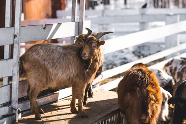 Similar image 21769555