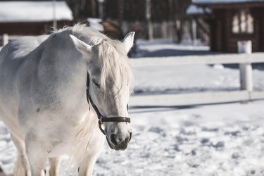 Similar image 21769556