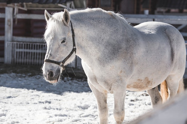 Similar image 21769558