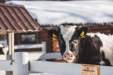 Similar image 21769559