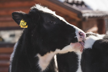 Similar image 21769562