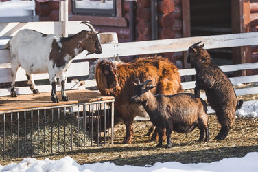 Similar image 21769568