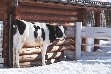 Similar image 21769579