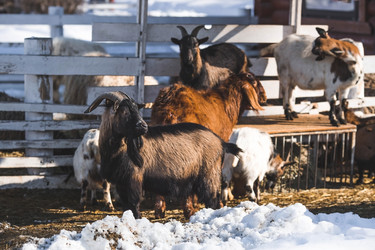 Similar image 21769581