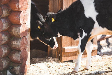 Similar image 21769582