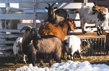 Similar image 21769583