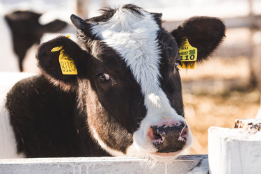 Similar image 21769592