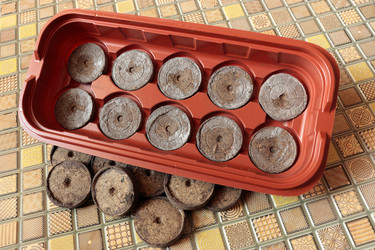 Similar image 21769418