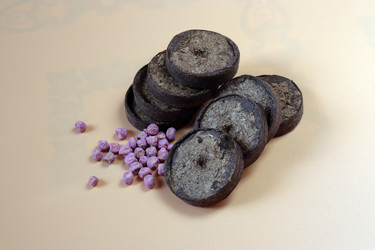 Similar image 21769420