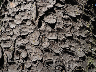 Similar image 21771892