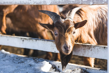 Similar image 21769595