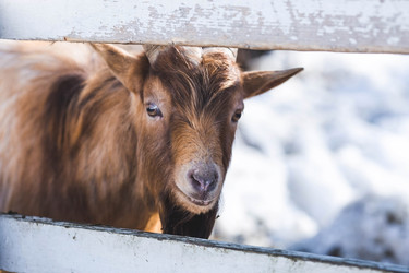 Similar image 21769596