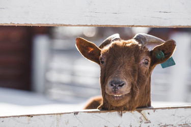 Similar image 21769597