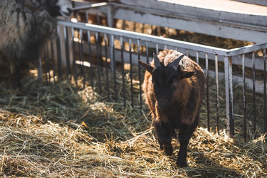 Similar image 21769599