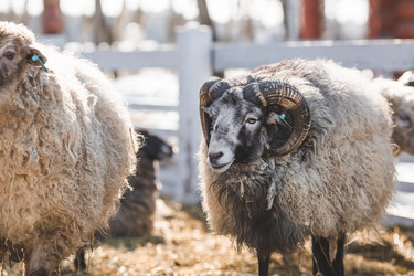 Similar image 21769600