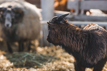 Similar image 21769601