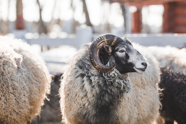 Similar image 21769603