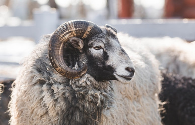 Similar image 21769605