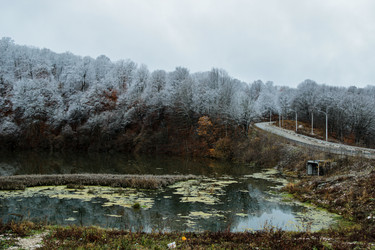 Similar image 21769859