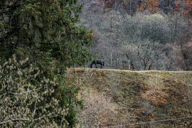 Similar image 21769610