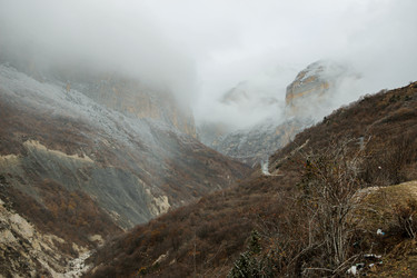 Similar image 21769911