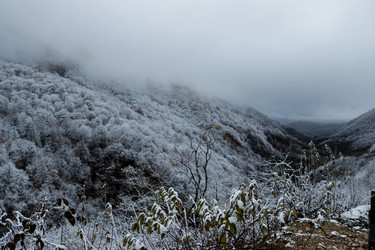 Similar image 21769912