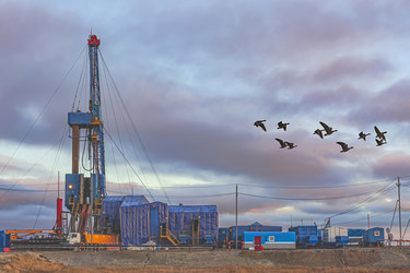 Similar image 21769624