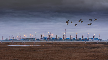 Similar image 21769628