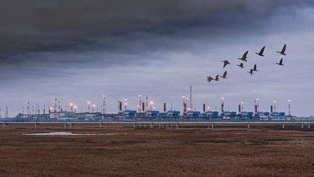 Similar image 21769630