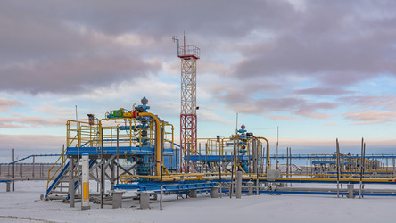 Similar image 21769654