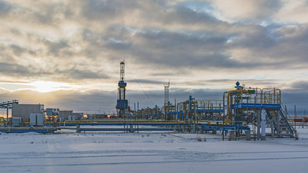 Similar image 21769656