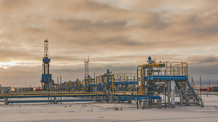 Similar image 21769658