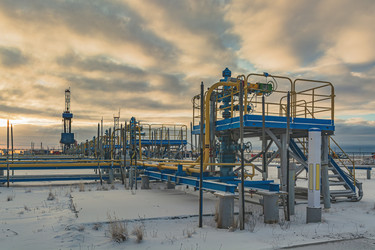 Similar image 21769660