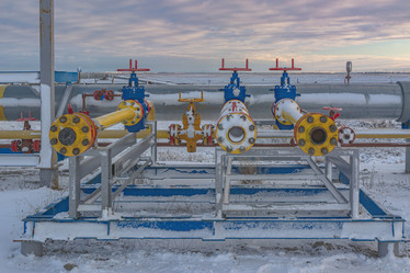 Similar image 21769662