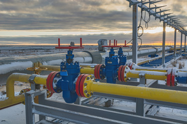 Similar image 21769665