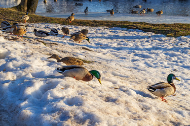 Similar image 21770069