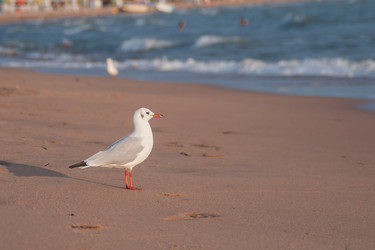 Similar image 21769668