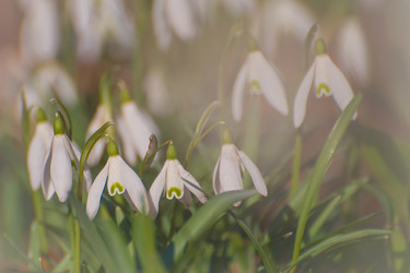 Similar image 21769669