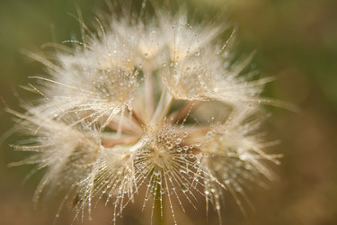 Similar image 21769671