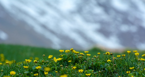 Similar image 21769678