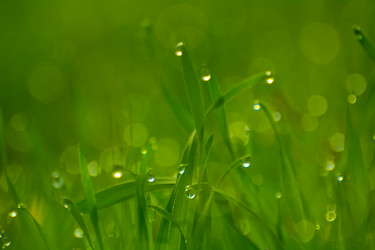 Similar image 21769684