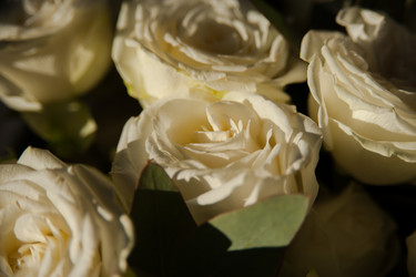 Similar image 21769695