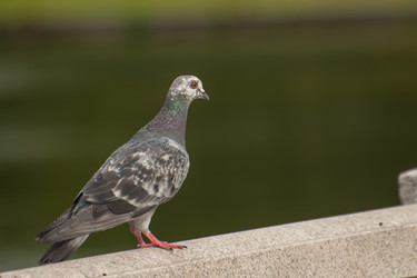 Similar image 21769696